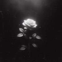 ᵗʰᵃᵗᵒⁿᵉ_ᵏᵃʸˡᵉᵉ